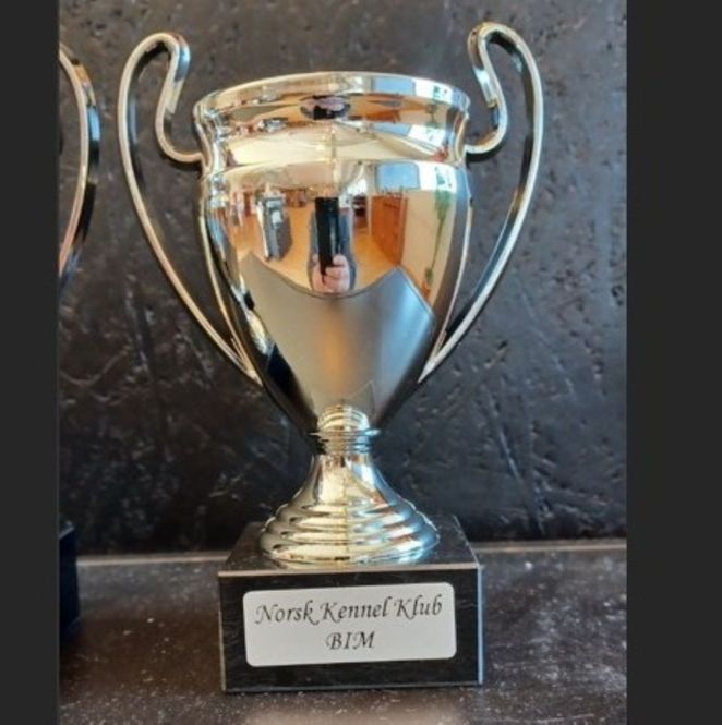 Hovedbilde Pokal BIM