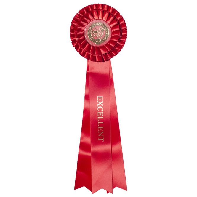 Hovedbilde Excellent rosett