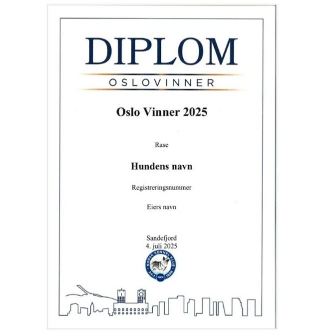 Hovedbilde Diplom Oslo vinner 2025 (Sendes i posten)