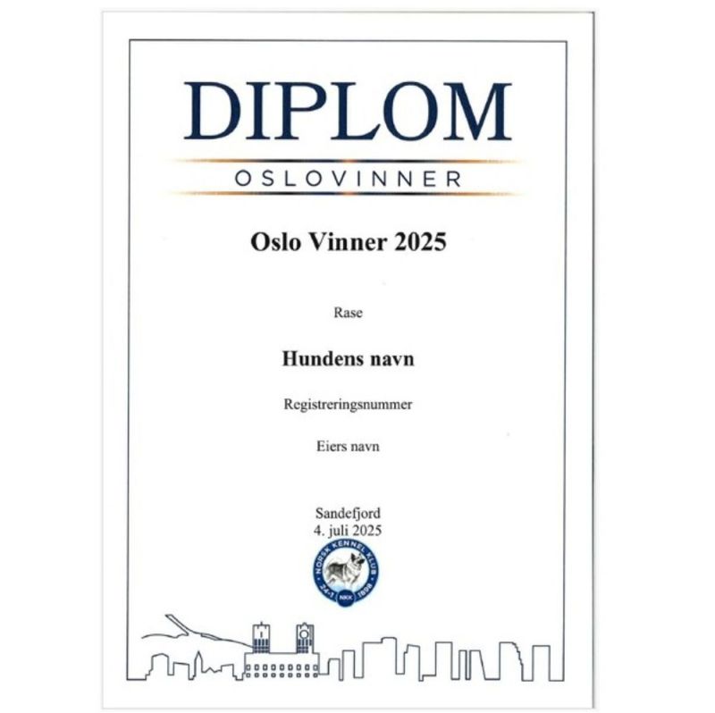 Diplom Oslo vinner 2025 (Sendes i posten)
