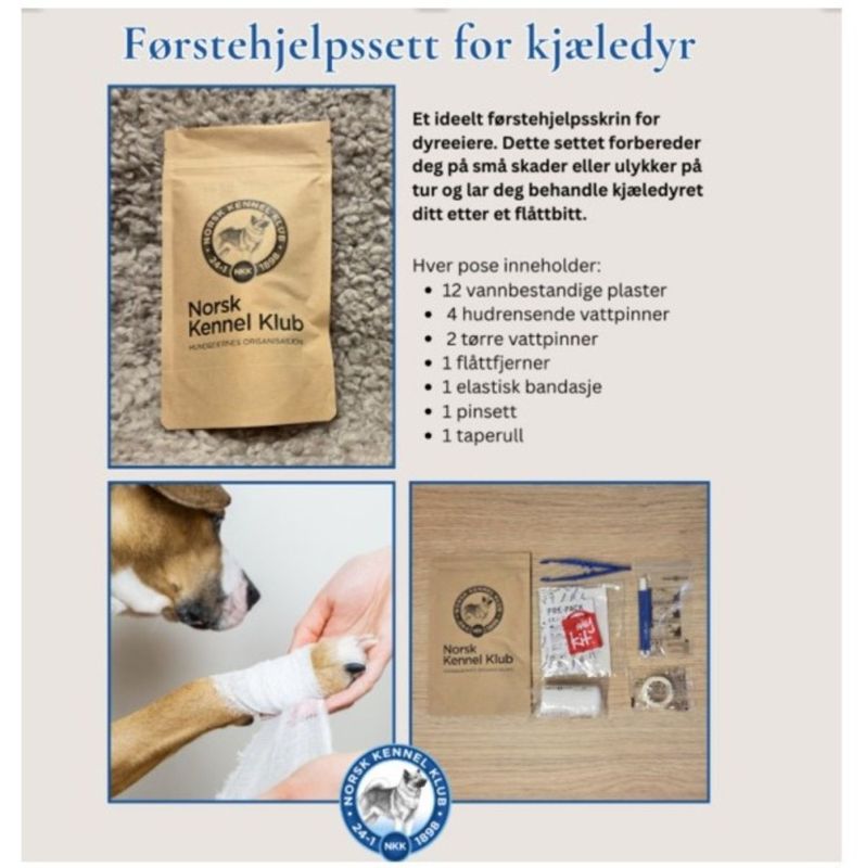 Førstehjelps Kit