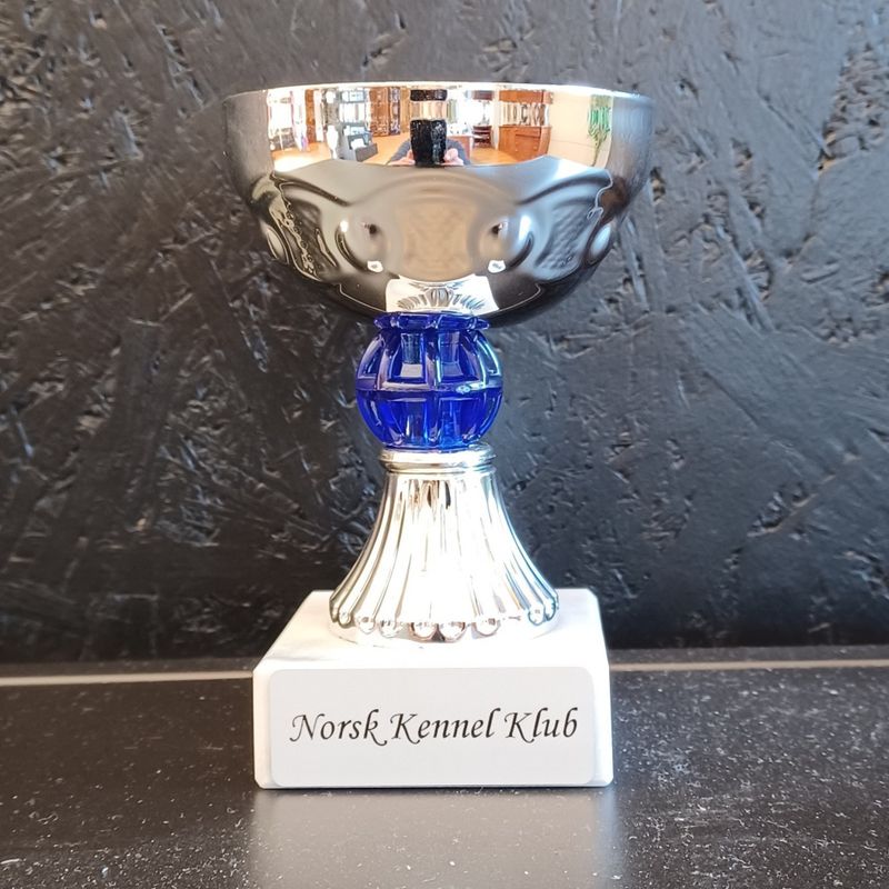 Maipokal (Plutopokal)